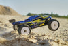 GT24TR 1/24th Brushless Micro Truggy